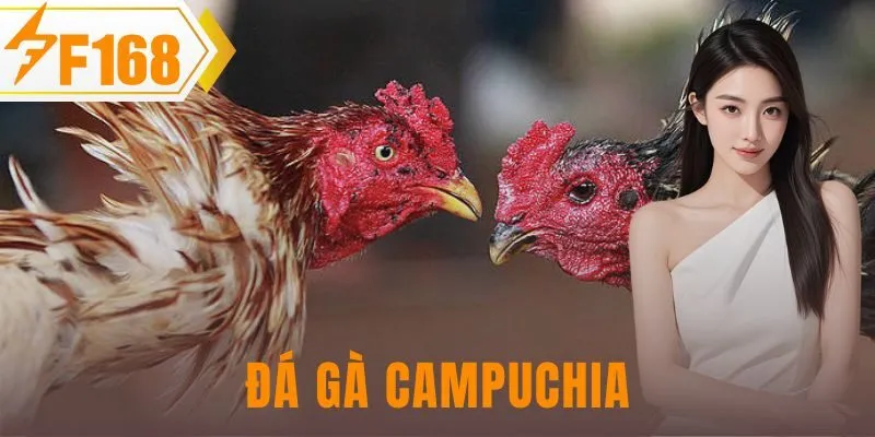 đá gà Campuchia
