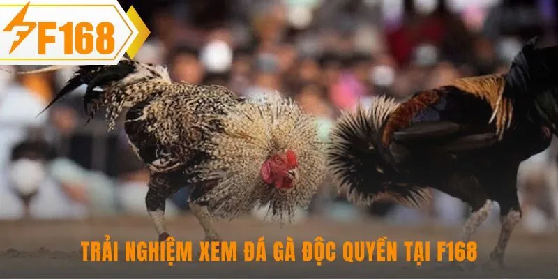 Trải nghiệm xem độc quyền với đường truyền nét và BLV chuyên nghiệp